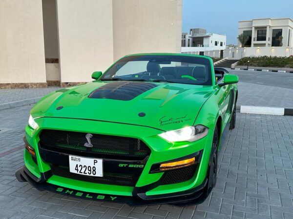 Rent Mustang GT Shelby and make a statement on Dubai's iconic roads.